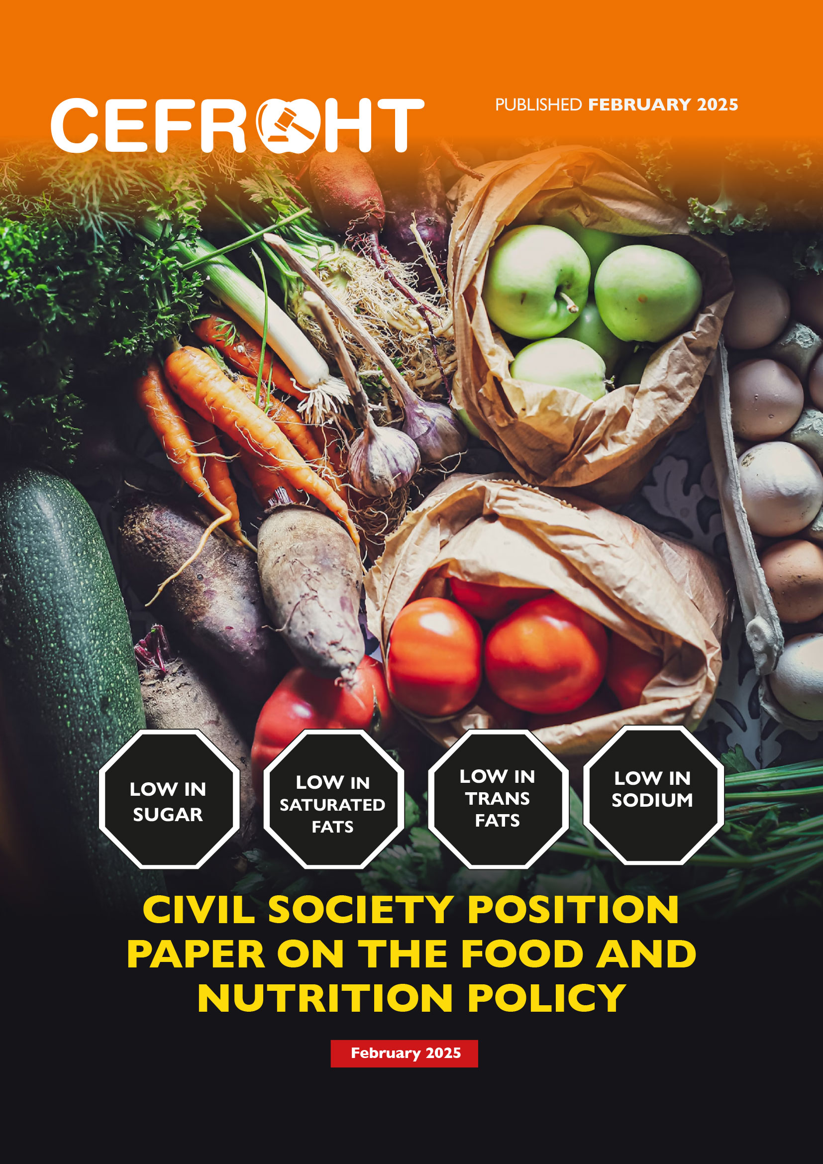 CSO-Position-Paper-1