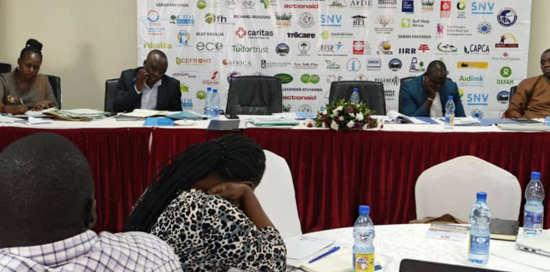 The program Manager of Sustainable livelihoods and Agri-food system in the PELUM country working group meeting.