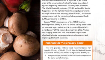 NPM-Policy-Brief-1