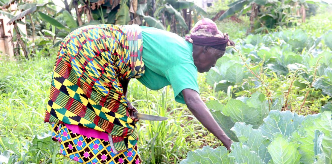 Sustainable-Agri-food-cover Sustainable-Agri-food-cover