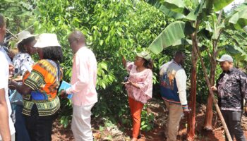 Sustainable-Agri-food11