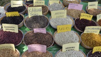 CSO POSITION PAPPER PHOTO